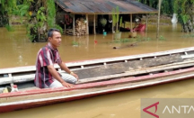 Perhatian, 171 Rumah di Tapanuli Selatan Terendam Banjir - GenPI.co Sumut