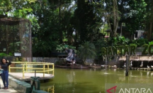 Libur Lebaran, Taman Hewan Pematang Siantar Ramai - GenPI.co Sumut
