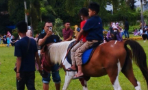 Wisata Naik Kuda di Istana Maimun Disukai Pengunjung - GenPI.co Sumut
