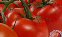 Ini 3 Tips Bikin Kulit Wajah Glowing dengan Tomat - GenPI.co Sumut