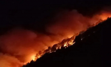 1 Orang Meninggal dalam Kebakaran Hutan di Sumut - GenPI.co Sumut