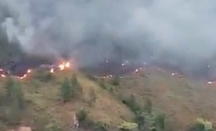 200 Personel Padamkan Api di Hutan Danau Toba - GenPI.co Sumut