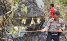 Kebakaran Sumut: Lahan 10 Hektare Terbakar di Simalungun - GenPI.co Sumut
