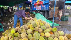 Kaya Antioksidan, Durian Bisa Bantu Lindungi Tubuh dari Penyakit - GenPI.co