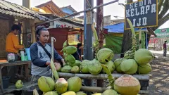Minum Air Kelapa Bikin Segar, Tetapi Tidak Selalu Aman untuk Semua Orang - GenPI.co