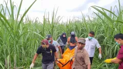 Seorang Ibu Melahirkan di Kebun Tebu Kediri Ditemukan Tak Bernyawa - GenPI.co