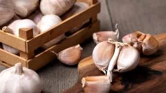 3 Herbal Bisa Membantu Turunkan Tekanan Darah, Aman dan Ampuh - GenPI.co