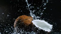 Kelapa Diklaim Bisa Turunkan Gula Darah dan Berat Badan, Begini Kata Penelitian - GenPI.co