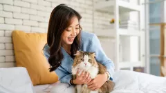 Tidur Bersama Hewan Peliharaan Bisa Picu Insomnia, Susah Nyenyak - GenPI.co