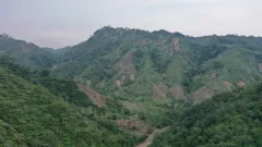 PLN Pastikan Keberlanjutan Penanaman Konservasi Hutan di Sekitar PLTA Upper Cisokan - GenPI.co