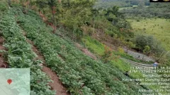 Seusai Temuan Ganja, Tim TNKS Sisir Kawasan Sekitar Gunung Kerinci - GenPI.co