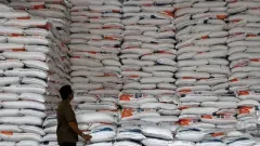 Stok Beras RI Tembus 3,7 Juta Ton, Terproduktif di ASEAN dan Tertinggi Sejak 1969 - GenPI.co