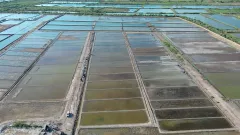 Pemerintah Longgarkan Impor Garam Hingga Industri Siap 2027 - GenPI.co