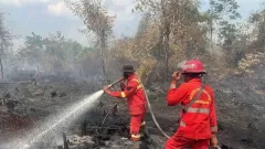 30 Hektare Lahan di Riau Diduga Sengaja Dibakar, Polisi Turun Tangan - GenPI.co