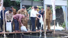 Sumsel Pelopor Inovasi Ketahanan Pangan, GSMP Terus Berkembang dan Ditiru Daerah Lain - GenPI.co