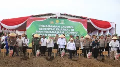 Polda Sumsel Inisiasi Tanam Jagung di Lahan Rawan Karhutla, Sekda: Wujud Nyata Sinergi Ketahanan Pangan - GenPI.co