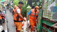 Banyak Sarjana Lamar Petugas PPSU, Isu Minim Lapangan Kerja Dibantah Pramono Anung - GenPI.co