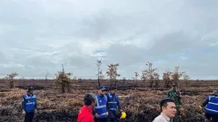 2 Lahan Terbakar Seluas 200 Ha di Kalbar Disegel, KLH Tegas Tindak Pelanggar - GenPI.co