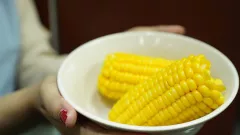 Ahli Gizi Berbagi Tips Membawa Bekal untuk Mudik Lebaran - GenPI.co