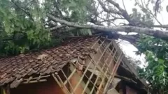 Hati-Hati Warga Sukabumi, Angin Kencang Terjadi di Sejumlah Kecamatan - GenPI.co JABAR