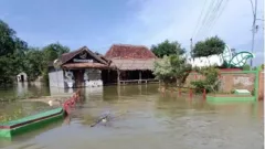 Astaga! 1 Desa di Pati Masih Tergenang Banjir - GenPI.co JATENG