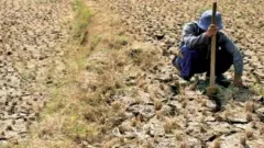 Waspada El Nino, BPBD Malang Catat 9 Kecamatan Rawan Kekeringan - GenPI.co JATIM