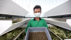 Lahan BKTD Jadi Urban Farming, Inovasi Jempolan Pemkot Surabaya - GenPI.co JATIM