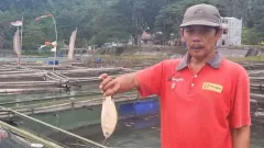 Ribuan Ikan di Telaga Ngebel Ponorogo Mati, Kerugian Capai Puluhan Juta - GenPI.co JATIM