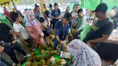 Festival Kuliner dan Konser Musik, Sinyal Bangkitnya Ekonomi di Pontianak - GenPI.co KALBAR