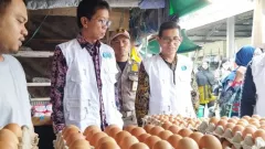 Update Harga Beras, Bawang Merah, Gula Pasir, Telur, dan Ayam di Paser - GenPI.co KALTIM
