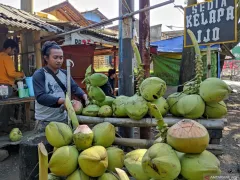 Minum Air Kelapa Bikin Segar, Tetapi Tidak Selalu Aman untuk Semua Orang - GenPI.co JATIM