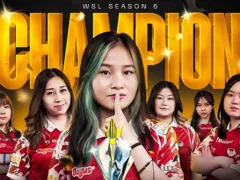 WSL Season 6: Bigetron Era Juara Sempurna - GenPI.co
