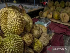 Durian, Raja Buah yang Penuh Manfaat untuk Kesehatan - GenPI.co