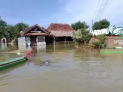 BPBD Pati Jawa Tengah Sebut Masih Ada Desa Terdampak Banjir - GenPI.co