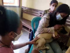 Anggaran Tak Cukup, NTT Kekurangan Vaksin untuk Mencegah Rabies - GenPI.co KALBAR