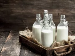 Susu Sapi vs Susu Kerbau: Mana yang Lebih Sehat? - GenPI.co KALTIM