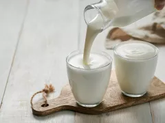 Bisakah Yogurt Mengurangi Risiko Diabetes Tipe 2? - GenPI.co JABAR