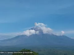 Gunung Semeru Erupsi Lagi, Ini Kondisi Terbarunya - GenPI.co KALBAR