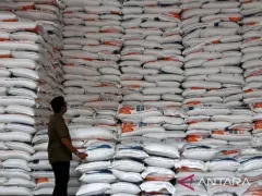 Stok Beras RI Tembus 3,7 Juta Ton, Terproduktif di ASEAN dan Tertinggi Sejak 1969 - GenPI.co BALI