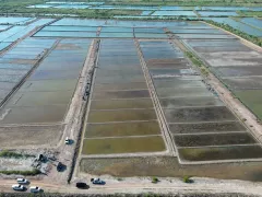 Pemerintah Longgarkan Impor Garam Hingga Industri Siap 2027 - GenPI.co JOGJA