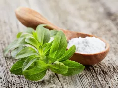 3 Manfaat Stevia untuk Tubuh, Manis Tanpa Risiko - GenPI.co