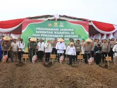 Polda Sumsel Inisiasi Tanam Jagung di Lahan Rawan Karhutla, Sekda: Wujud Nyata Sinergi Ketahanan Pangan - GenPI.co