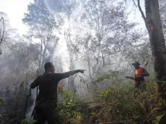 Kebakaran di Gunung Ciremai Belum Padam - GenPI.co