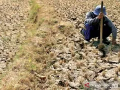 Waspada El Nino, BPBD Malang Catat 9 Kecamatan Rawan Kekeringan - GenPI.co KALBAR