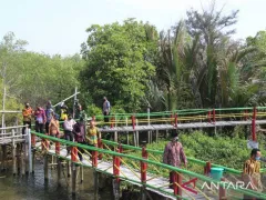 Pemkab Kulon Progo Janjikan Pengembangan Wisata Mangrove - GenPI.co JATIM