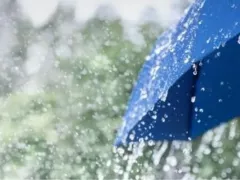 Musim Hujan di Kalbar Diperkirakan Masuk Awal Oktober - GenPI.co