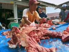 Menjelang Ramadan, Permintaan Daging Sapi di Pekanbaru Meningkat - GenPI.co