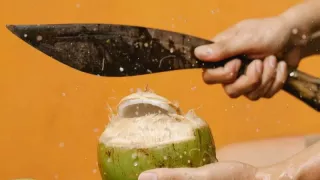 Covid air kelapa Khasiat Air