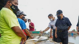 Tampil Beda, Wapres Ma'ruf Amin Borong Ikan di Tempat Pelelangan - GenPI.co