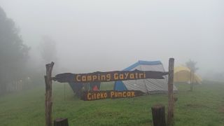 Camping Gayatri Puncak Bogor, Cocok Liburan Bersama Keluarga - GenPI.co